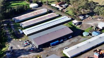 Menangle Poultery Breeder Facility - Captured at Poultry Breeding, Menangle NSW Australia.