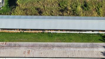 Menangle Poultery Breeder Facility - Captured at Poultry Breeding, Menangle NSW Australia.