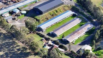 Menangle Poultery Breeder Facility - Captured at Poultry Breeding, Menangle NSW Australia.
