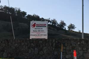 Mutliquip Maldon Hatchery - Captured at Multiquip Commercial Poultry Hatchery, Picton NSW Australia.