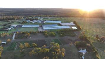 Bartolo Turkey Farm - Captured at Bartolo Turkey Farm, Bargo NSW Australia.