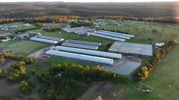 Bartolo Turkey Farm - Captured at Bartolo Turkey Farm, Bargo NSW Australia.