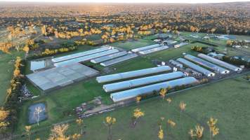 Bartolo Turkey Farm - Captured at Bartolo Turkey Farm, Bargo NSW Australia.