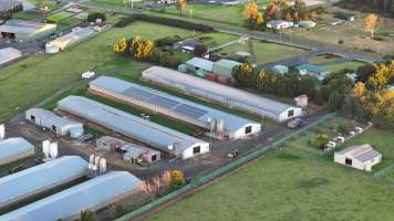 Bartolo Turkey Farm - Captured at Bartolo Turkey Farm, Bargo NSW Australia.
