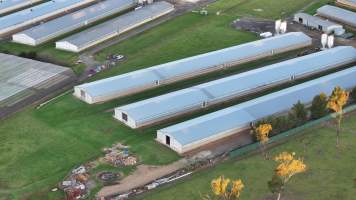 Bartolo Turkey Farm - Captured at Bartolo Turkey Farm, Bargo NSW Australia.