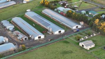 Bartolo Turkey Farm - Captured at Bartolo Turkey Farm, Bargo NSW Australia.