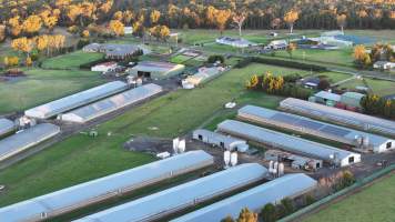 Bartolo Turkey Farm - Captured at Bartolo Turkey Farm, Bargo NSW Australia.