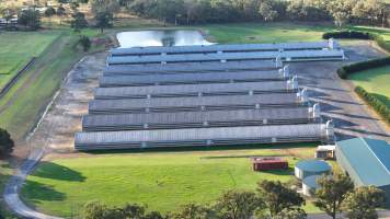 Yanderra Turkey Farm - Captured at Yanderra Farm - Ingham Turkey Farm, Bargo NSW Australia.