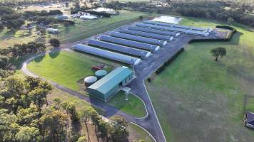 Yanderra Turkey Farm - Captured at Yanderra Farm - Ingham Turkey Farm, Bargo NSW Australia.