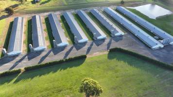 Yanderra Turkey Farm - Captured at Yanderra Farm - Ingham Turkey Farm, Bargo NSW Australia.