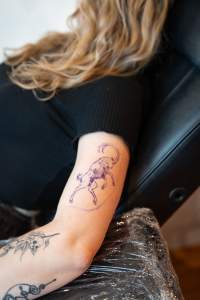 Right To Know: Tattoo Flash Day Fundraiser - Photos from Farm Transparency Project fundraising day to raise money for the High Court.
Held at the Admirals Arms Tattoo Studio in Monnee Ponds.
Tattoo Artists
Molly J (mollyj_tattoo)
Courtney - Puddy Tatts (courtelisetattoo)
Valentin Sullivan (valentin.sullivan.tattoos)
Jess Cappelli (liljtattoos)
Other artists
Jess Harts (jess_hartartist)
Wren (pigeonwren.art)
Tammy Leigh (tammyleightattoos)