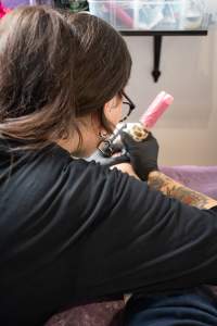 Right To Know: Tattoo Flash Day Fundraiser - Photos from Farm Transparency Project fundraising day to raise money for the High Court.
Held at the Admirals Arms Tattoo Studio in Monnee Ponds.
Tattoo Artists
Molly J (mollyj_tattoo)
Courtney - Puddy Tatts (courtelisetattoo)
Valentin Sullivan (valentin.sullivan.tattoos)
Jess Cappelli (liljtattoos)
Other artists
Jess Harts (jess_hartartist)
Wren (pigeonwren.art)
Tammy Leigh (tammyleightattoos)