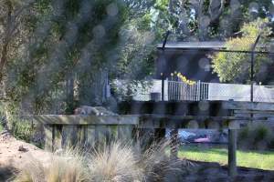 Symbio Wildlife Park - Captured at Symbio Wildlife Park, Helensburgh NSW Australia.