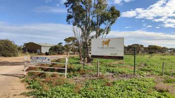 Yarralinka Livestock - Captured at Yarralinka Livestock (formerly Romadel Feedlot), Lower Light SA Australia.