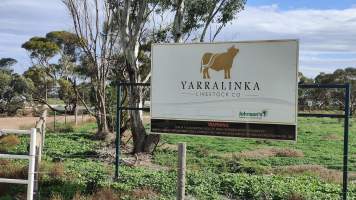 Yarralinka Livestock - Captured at Yarralinka Livestock (formerly Romadel Feedlot), Lower Light SA Australia.