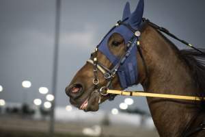Meadowlands Racetrack June 2026 - Captured at Meadowlands Racing, East Rutherford NJ United States.