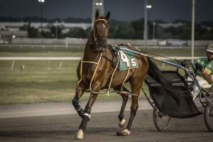 Meadowlands Racetrack June 2026 - Captured at Meadowlands Racing, East Rutherford NJ United States.