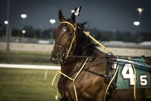 Meadowlands Racetrack June 2026 - Captured at Meadowlands Racing, East Rutherford NJ United States.