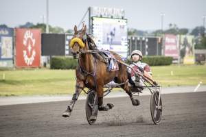Meadowlands Racetrack June 2026 - Captured at Meadowlands Racing, East Rutherford NJ United States.