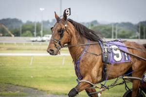 Meadowlands Racetrack June 2026 - Captured at Meadowlands Racing, East Rutherford NJ United States.