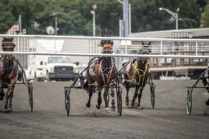 Meadowlands Racetrack June 2026 - Captured at Meadowlands Racing, East Rutherford NJ United States.