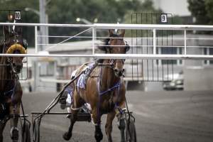 Meadowlands Racetrack June 2026 - Captured at Meadowlands Racing, East Rutherford NJ United States.