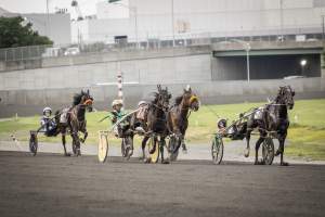 Meadowlands Racetrack June 2026 - Captured at Meadowlands Racing, East Rutherford NJ United States.