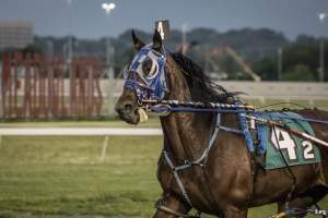 Meadowlands Racetrack June 2026 - Captured at Meadowlands Racing, East Rutherford NJ United States.