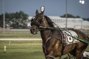 Meadowlands Racetrack June 2026 - Captured at Meadowlands Racing, East Rutherford NJ United States.