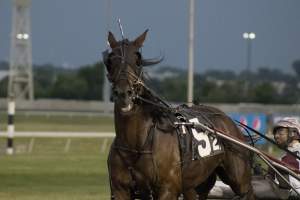 Meadowlands Racetrack June 2026 - Captured at Meadowlands Racing, East Rutherford NJ United States.