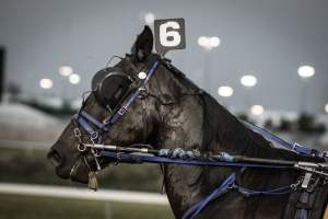 Meadowlands Racetrack June 2026 - Captured at Meadowlands Racing, East Rutherford NJ United States.