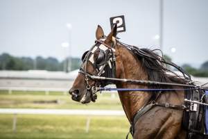 Meadowlands Racetrack June 2026 - Captured at Meadowlands Racing, East Rutherford NJ United States.