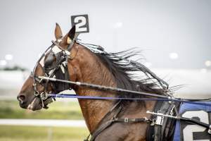 Meadowlands Racetrack June 2026 - Captured at Meadowlands Racing, East Rutherford NJ United States.