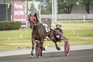 Meadowlands Racetrack June 2026 - Captured at Meadowlands Racing, East Rutherford NJ United States.
