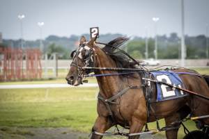 Meadowlands Racetrack June 2026 - Captured at Meadowlands Racing, East Rutherford NJ United States.