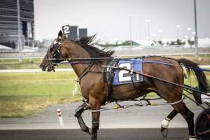 Meadowlands Racetrack June 2026 - Captured at Meadowlands Racing, East Rutherford NJ United States.