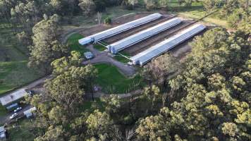 Unknown Free Range Eggs - Wilberforce - Drone Footage - Captured at Free Range Egg Farm, Wilberforce NSW Australia.