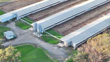 Unknown Free Range Eggs - Wilberforce - Drone Footage - Captured at Free Range Egg Farm, Wilberforce NSW Australia.