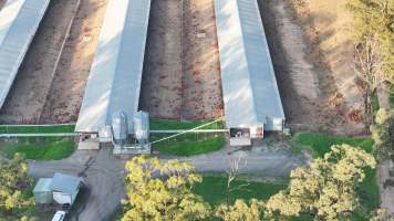 Unknown Free Range Eggs - Wilberforce - Drone Footage - Captured at Free Range Egg Farm, Wilberforce NSW Australia.
