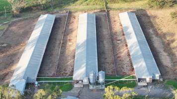 Unknown Free Range Eggs - Wilberforce - Drone Footage - Captured at Free Range Egg Farm, Wilberforce NSW Australia.