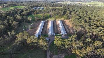 Unknown Free Range Eggs - Wilberforce - Drone Footage - Captured at Free Range Egg Farm, Wilberforce NSW Australia.