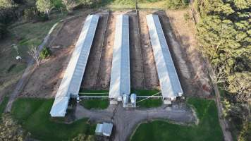 Unknown Free Range Eggs - Wilberforce - Drone Footage - Captured at Free Range Egg Farm, Wilberforce NSW Australia.