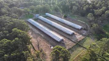 Unknown Free Range Eggs - Wilberforce - Drone Footage - Captured at Free Range Egg Farm, Wilberforce NSW Australia.