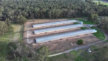 Unknown Free Range Eggs - Wilberforce - Drone Footage - Captured at Free Range Egg Farm, Wilberforce NSW Australia.