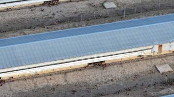 Unknown Free Range Eggs - Wilberforce - Drone Footage - Captured at Free Range Egg Farm, Wilberforce NSW Australia.