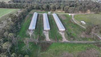Unknown Free Range Eggs - Wilberforce - Drone Footage - Captured at Free Range Egg Farm, Wilberforce NSW Australia.