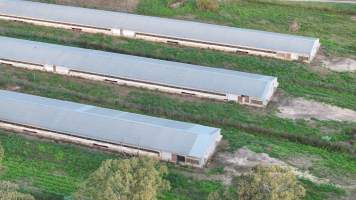 Unknown Free Range Eggs - Wilberforce - Drone Footage - Captured at Free Range Egg Farm, Wilberforce NSW Australia.