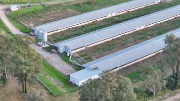 Unknown Free Range Eggs - Wilberforce - Drone Footage - Captured at Free Range Egg Farm, Wilberforce NSW Australia.