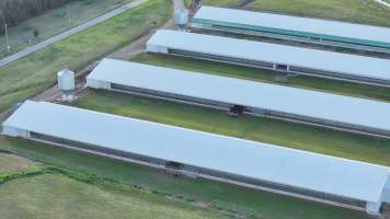 Terrace Farm - Free Range Eggs - Drone Footage - Captured at Terrace Farm, Freemans Reach NSW Australia.