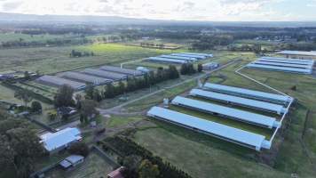 Terrace Farm - Free Range Eggs - Drone Footage - Captured at Terrace Farm, Freemans Reach NSW Australia.